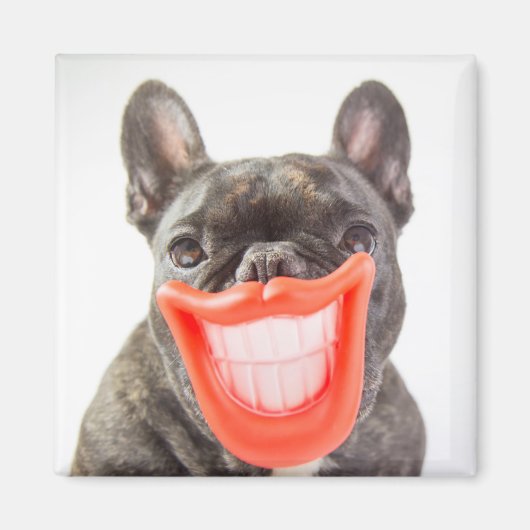 Getty Afbeeldingen | Een glimlende hond Magneet (Voorkant)