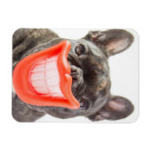 Getty Afbeeldingen | Een glimlende hond Magneet (Horizontaal)