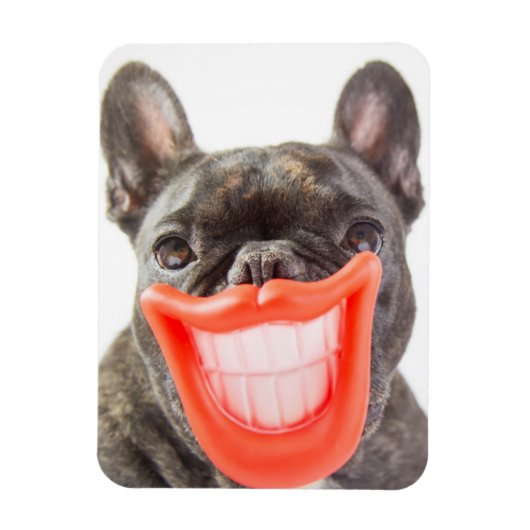 Getty Afbeeldingen | Een glimlende hond Magneet (Verticaal)