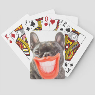 Getty Afbeeldingen   Een glimlende hond Pokerkaarten