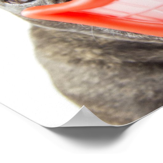 Getty Afbeeldingen | Een glimlende hond Poster (Hoek)