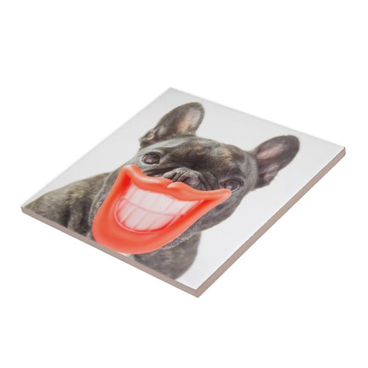 Getty Afbeeldingen | Een glimlende hond Tegeltje (Zijkant)