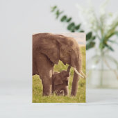 Getty Afbeeldingen | Elefant en Baby Briefkaart (Staand voorkant)