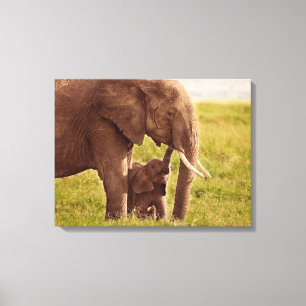 Getty Afbeeldingen   Elefant en Baby Canvas Afdruk