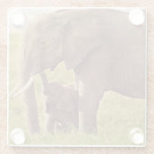 Getty Afbeeldingen | Elefant en Baby Glazen Onderzetter (Achterkant)