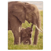 Getty Afbeeldingen | Elefant en Baby Klembord (Achterkant)