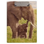 Getty Afbeeldingen | Elefant en Baby Klembord (Voorkant)