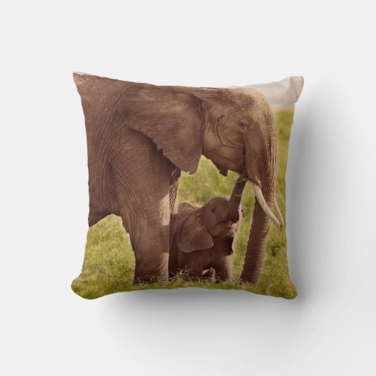 Getty Afbeeldingen | Elefant en Baby Kussen (Voorkant)