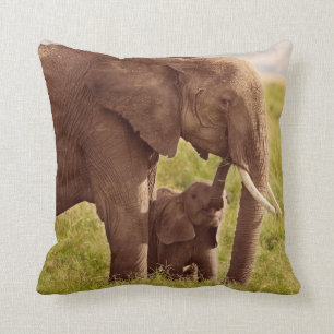 Getty Afbeeldingen   Elefant en Baby Kussen