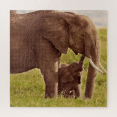 Getty Afbeeldingen | Elefant en Baby Legpuzzel (Horizontaal)