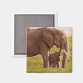 Getty Afbeeldingen | Elefant en Baby Magneet (Voorkant / Achterkant)