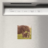 Getty Afbeeldingen | Elefant en Baby Magneet (Insitu (Vaatwasser))