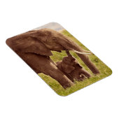 Getty Afbeeldingen | Elefant en Baby Magneet (Rechterzijde)