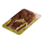 Getty Afbeeldingen | Elefant en Baby Magneet (Linkerzijde)