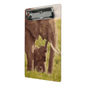 Getty Afbeeldingen | Elefant en Baby Mini Klembord (Angled2)