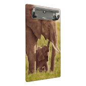 Getty Afbeeldingen | Elefant en Baby Mini Klembord (Schuin)