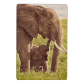 Getty Afbeeldingen | Elefant en Baby Mini Klembord (Achterkant)