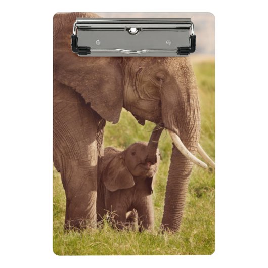 Getty Afbeeldingen | Elefant en Baby Mini Klembord (Voorkant)