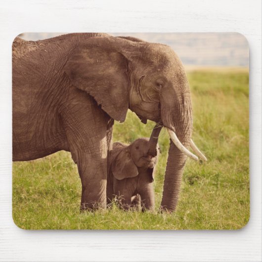 Getty Afbeeldingen | Elefant en Baby Muismat (Voorkant)