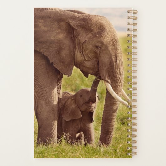 Getty Afbeeldingen | Elefant en Baby Planner (Achterkant)
