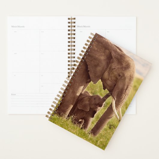 Getty Afbeeldingen | Elefant en Baby Planner (Display)
