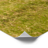 Getty Afbeeldingen | Elefant en Baby Poster (Hoek)