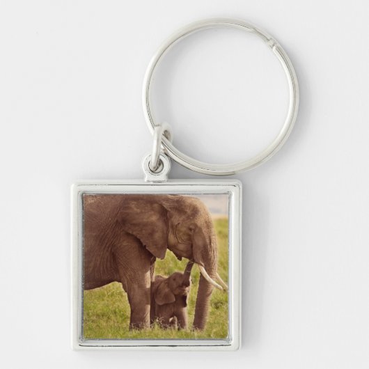 Getty Afbeeldingen | Elefant en Baby Sleutelhanger (Voorkant)