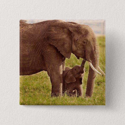 Getty Afbeeldingen | Elefant en Baby Vierkante Button 5,1 Cm (Voorkant)