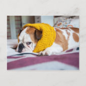 Getty Afbeeldingen | Engelse Bulldog Briefkaart (Voorkant)