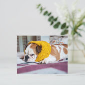 Getty Afbeeldingen | Engelse Bulldog Briefkaart (Staand voorkant)