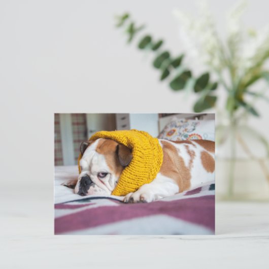 Getty Afbeeldingen | Engelse Bulldog Briefkaart (Staand voorkant)