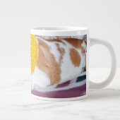 Getty Afbeeldingen | Engelse Bulldog Grote Koffiekop (Rechts)