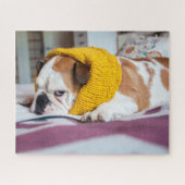 Getty Afbeeldingen | Engelse Bulldog Legpuzzel (Horizontaal)