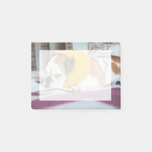 Getty Afbeeldingen   Engelse Bulldog Post-it® Notes