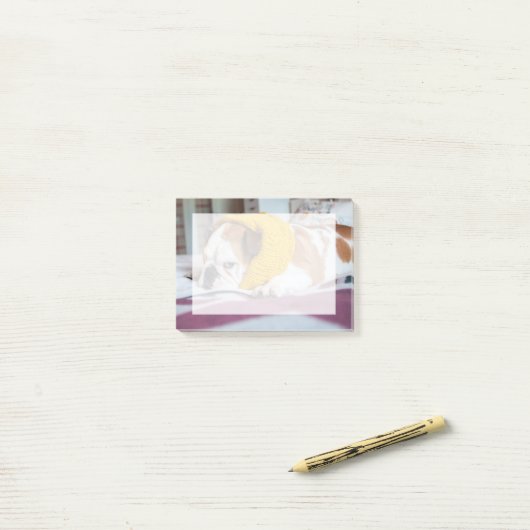 Getty Afbeeldingen | Engelse Bulldog Post-it® Notes (Op bureau)