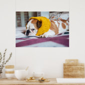 Getty Afbeeldingen | Engelse Bulldog Poster (Keuken)