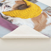 Getty Afbeeldingen | Engelse Bulldog Sherpa Deken (3/4)