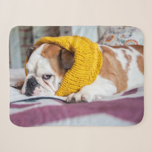 Getty Afbeeldingen | Engelse Bulldog Sherpa Deken (Voorkant (horizontaal))