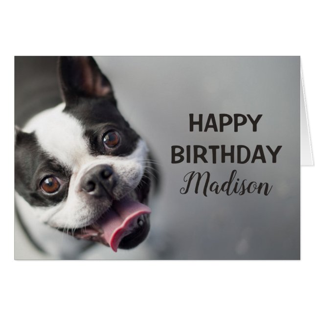 Getty Afbeeldingen | Franse Bulldog (Voorkant Horizontaal)