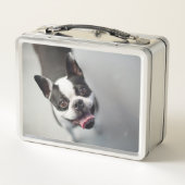 Getty Afbeeldingen | Franse Bulldog (Achterkant)