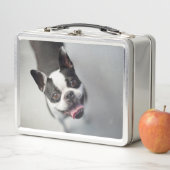 Getty Afbeeldingen | Franse Bulldog (In situ)