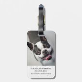 Getty Afbeeldingen | Franse Bulldog Bagagelabel (Achterkant verticaal)