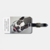 Getty Afbeeldingen | Franse Bulldog Bagagelabel (Achterkant horizontaal)
