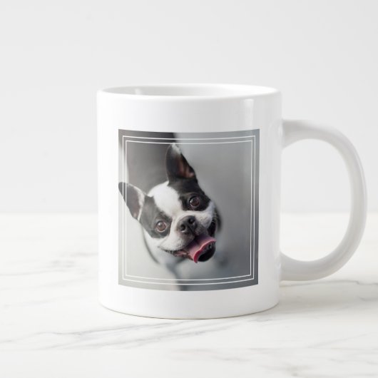 Getty Afbeeldingen | Franse Bulldog Grote Koffiekop (Rechts)