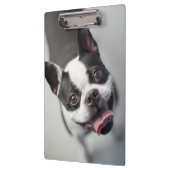 Getty Afbeeldingen | Franse Bulldog Klembord (Links)