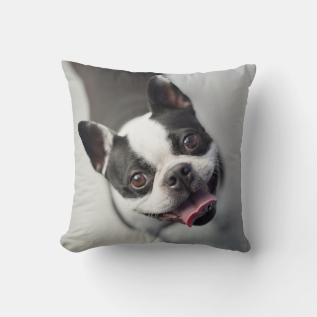 Getty Afbeeldingen | Franse Bulldog Kussen (Voorkant)