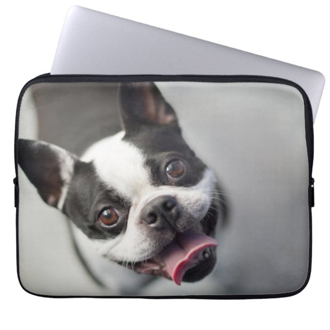 Getty Afbeeldingen | Franse Bulldog Laptop Sleeve (Voorkant)