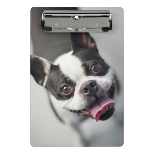 Getty Afbeeldingen | Franse Bulldog Mini Klembord (Voorkant)