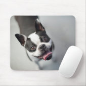 Getty Afbeeldingen | Franse Bulldog Muismat (Met muis)