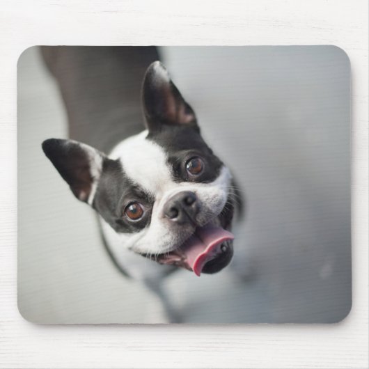 Getty Afbeeldingen | Franse Bulldog Muismat (Voorkant)